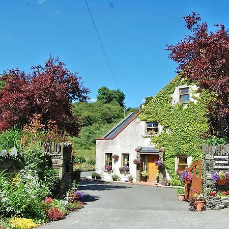 Tinnycross House B&B Ballymore Eustace Extérieur photo