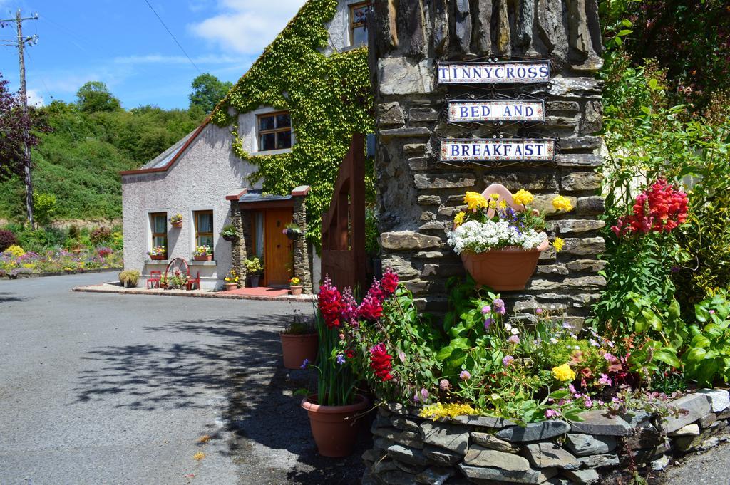 Tinnycross House B&B Ballymore Eustace Extérieur photo