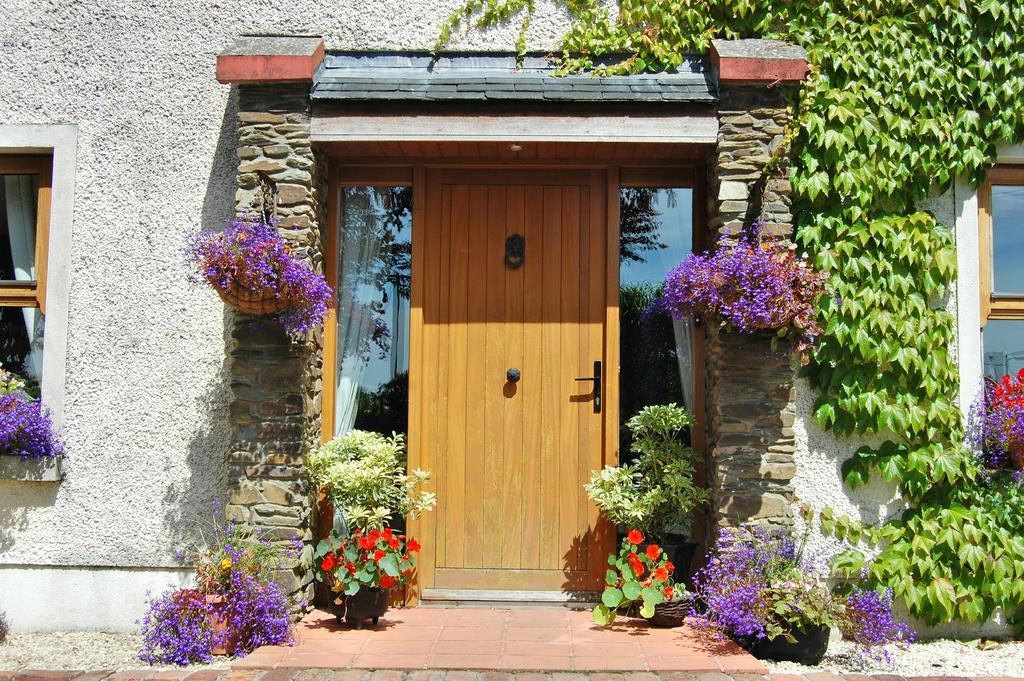 Tinnycross House B&B Ballymore Eustace Extérieur photo