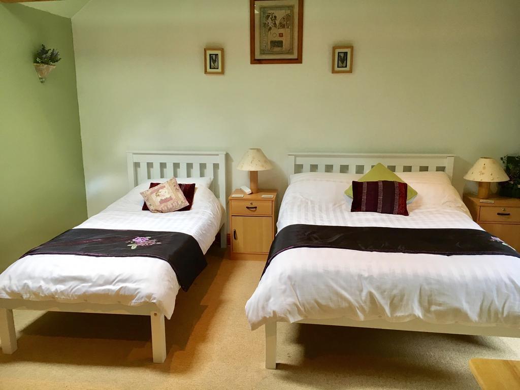 Tinnycross House B&B Ballymore Eustace Extérieur photo