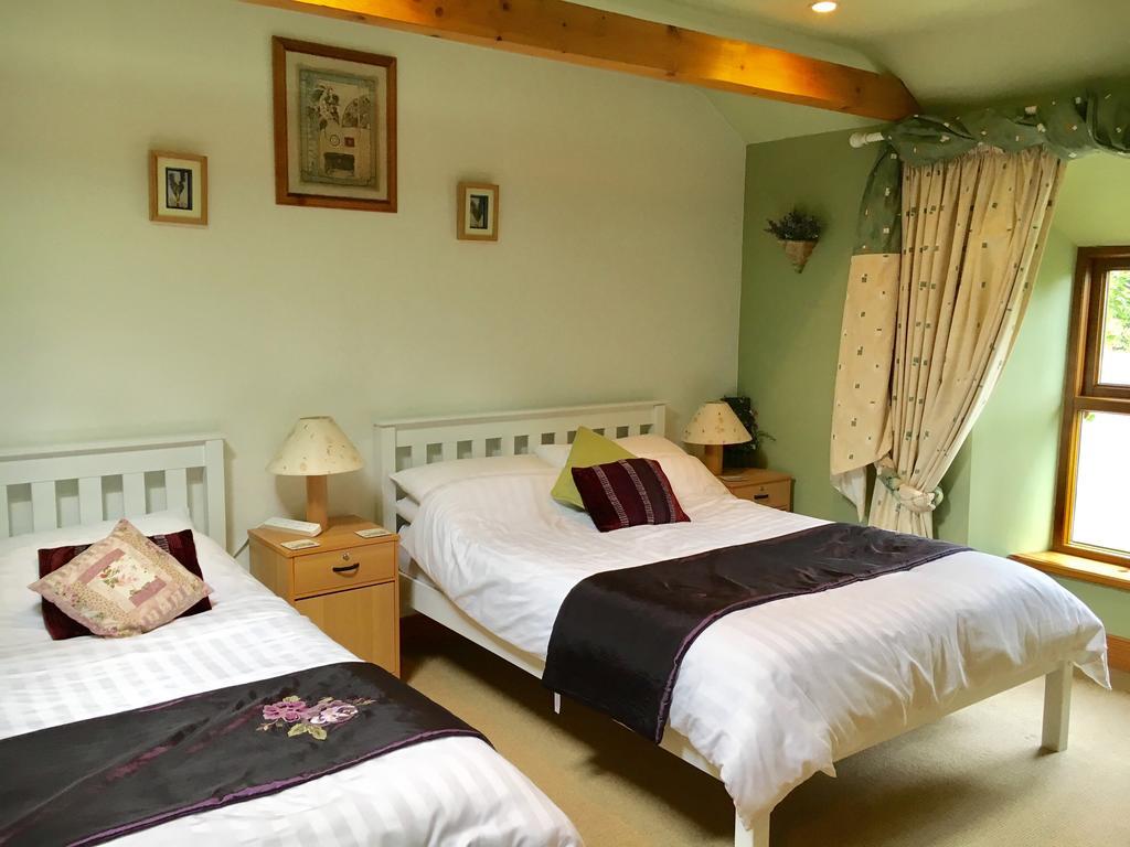 Tinnycross House B&B Ballymore Eustace Extérieur photo