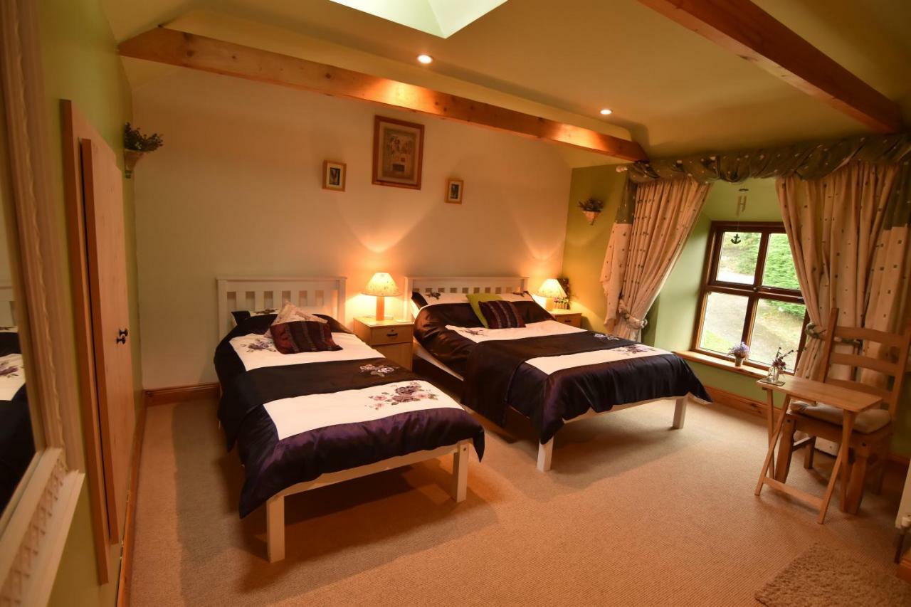 Tinnycross House B&B Ballymore Eustace Extérieur photo