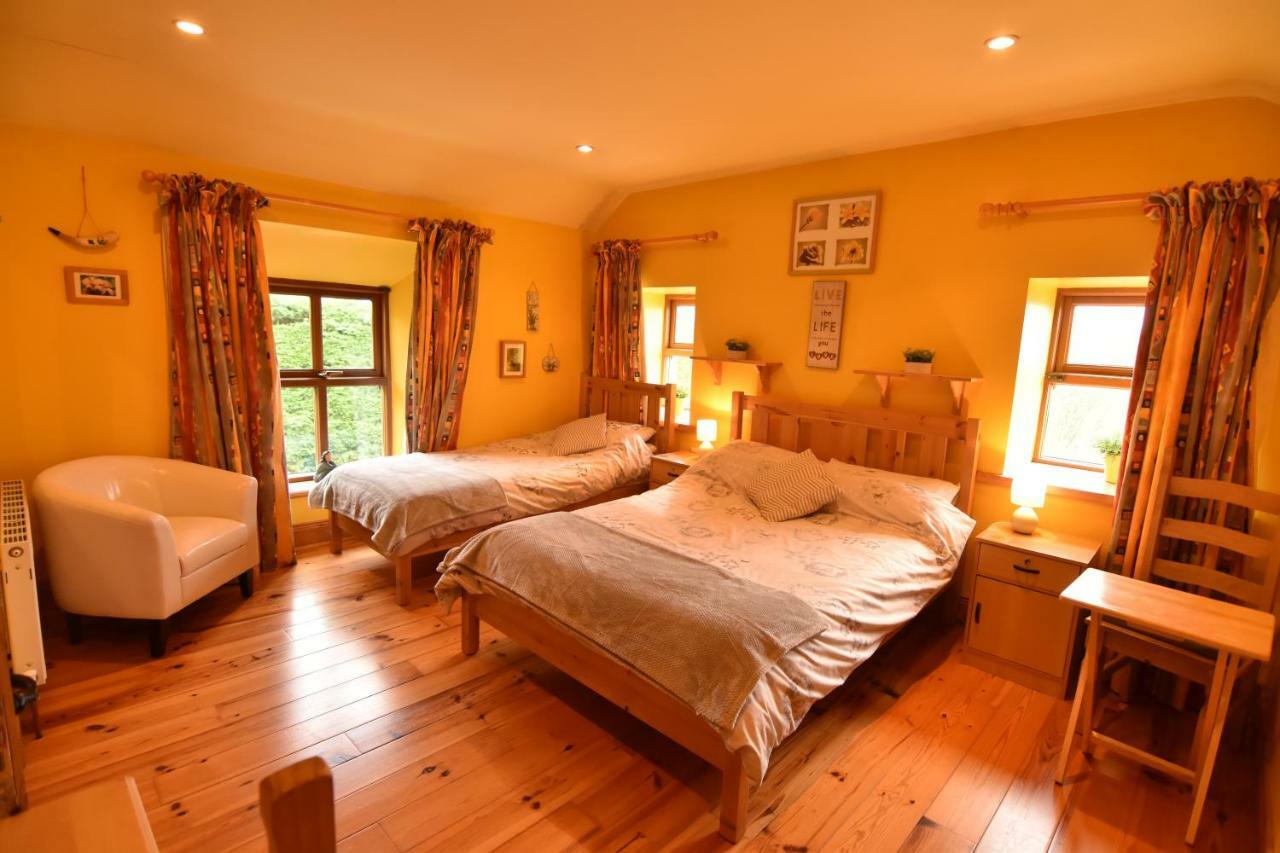 Tinnycross House B&B Ballymore Eustace Extérieur photo