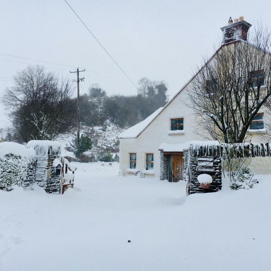 Tinnycross House B&B Ballymore Eustace Extérieur photo