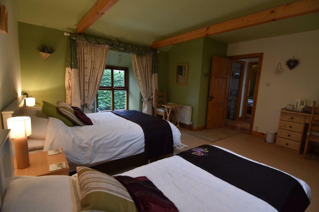 Tinnycross House B&B Ballymore Eustace Extérieur photo