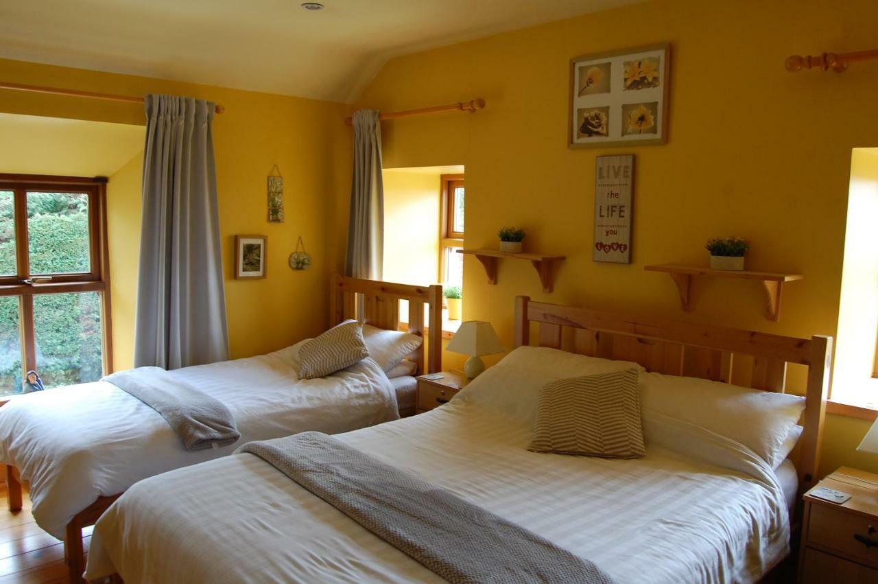 Tinnycross House B&B Ballymore Eustace Extérieur photo